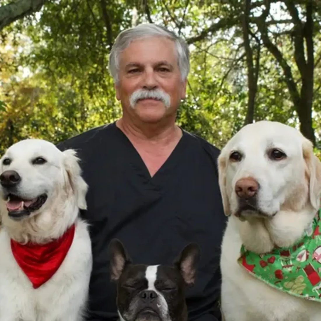 Veterinarian with gray mustache surrounded by three dogs outdoors
